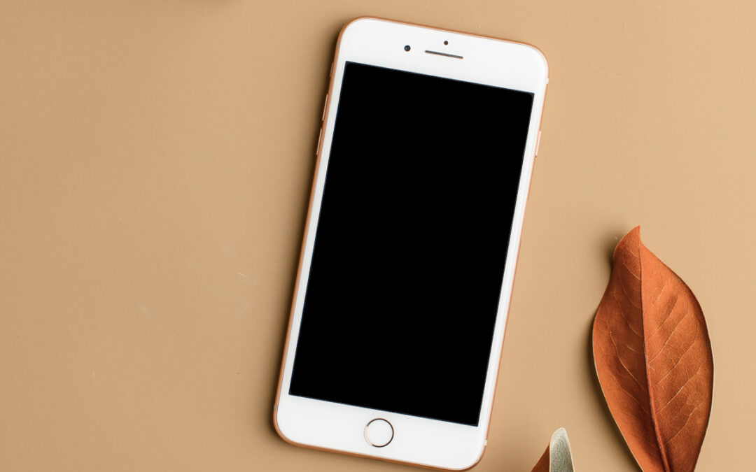 How to add Instagram to your website