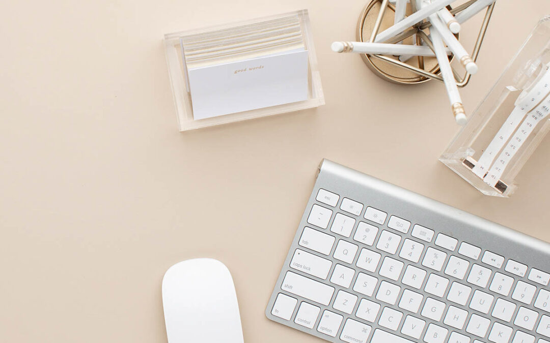 Introducing the new Pretty Divi Theme Shop