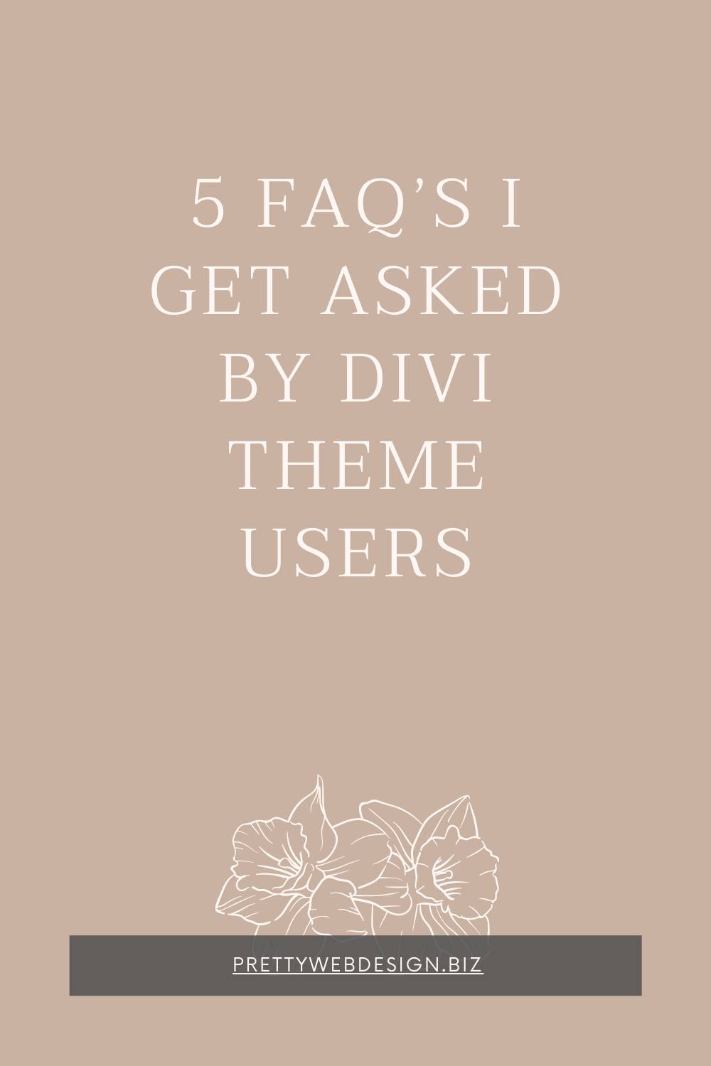5 FAQ’s I Get Asked By Divi Theme Users